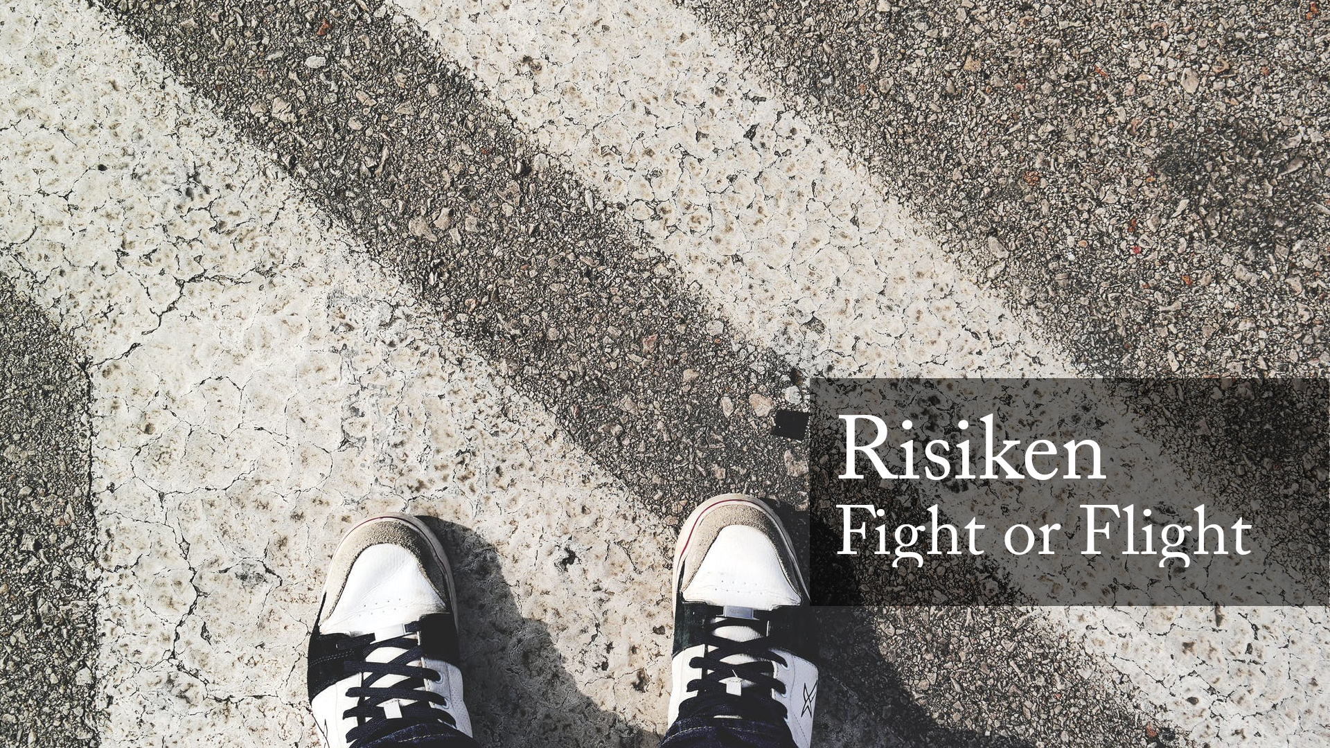 Sind Sie bei Risiken der Fight oder Flight Typ?