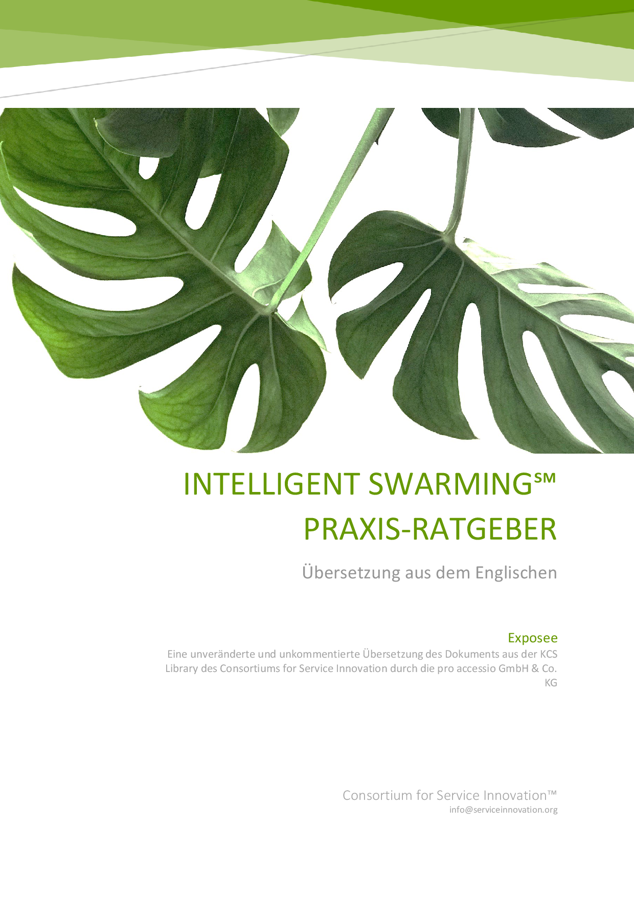 Vorschau auf das Titelbild des Intelligent Swarming Praxis-Ratgebers